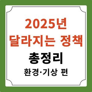 2025년 정책 환경 기상