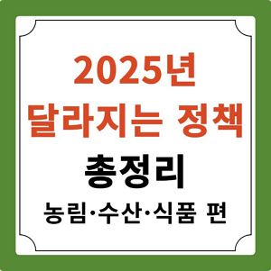 2025년 정책 변화